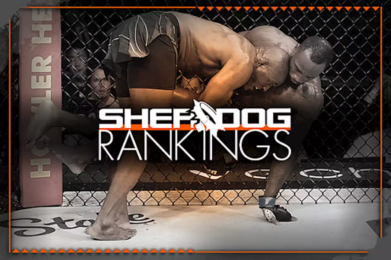 Sherdog’s Official Mixed Martial Arts Rankings - Rocky Highlight KO Show