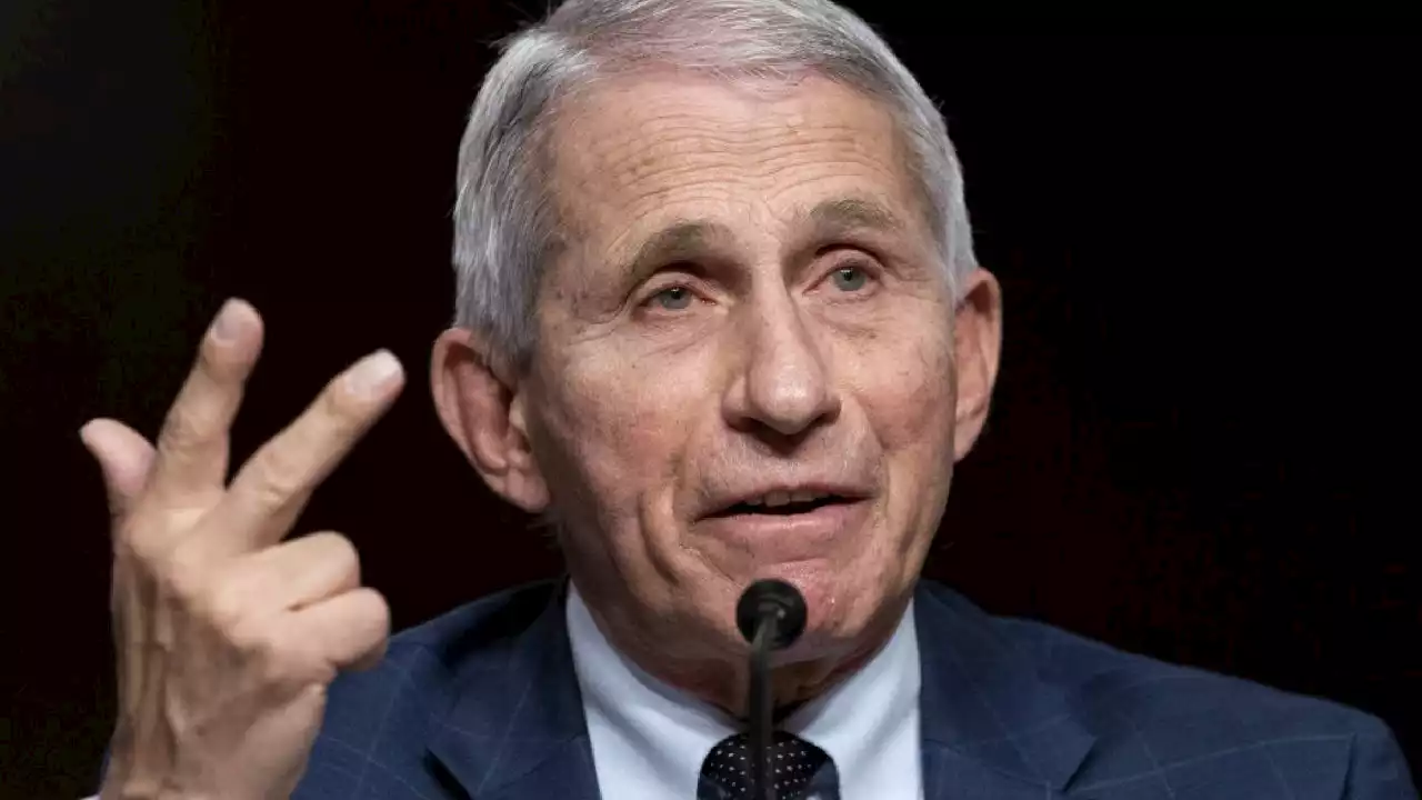 Dr. Anthony Fauci to step down in December