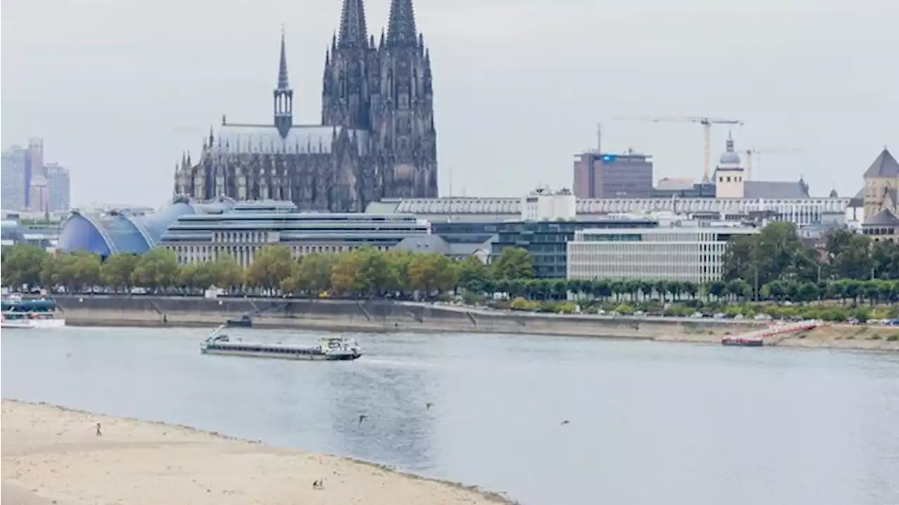 Der Rhein führt wieder mehr Wasser