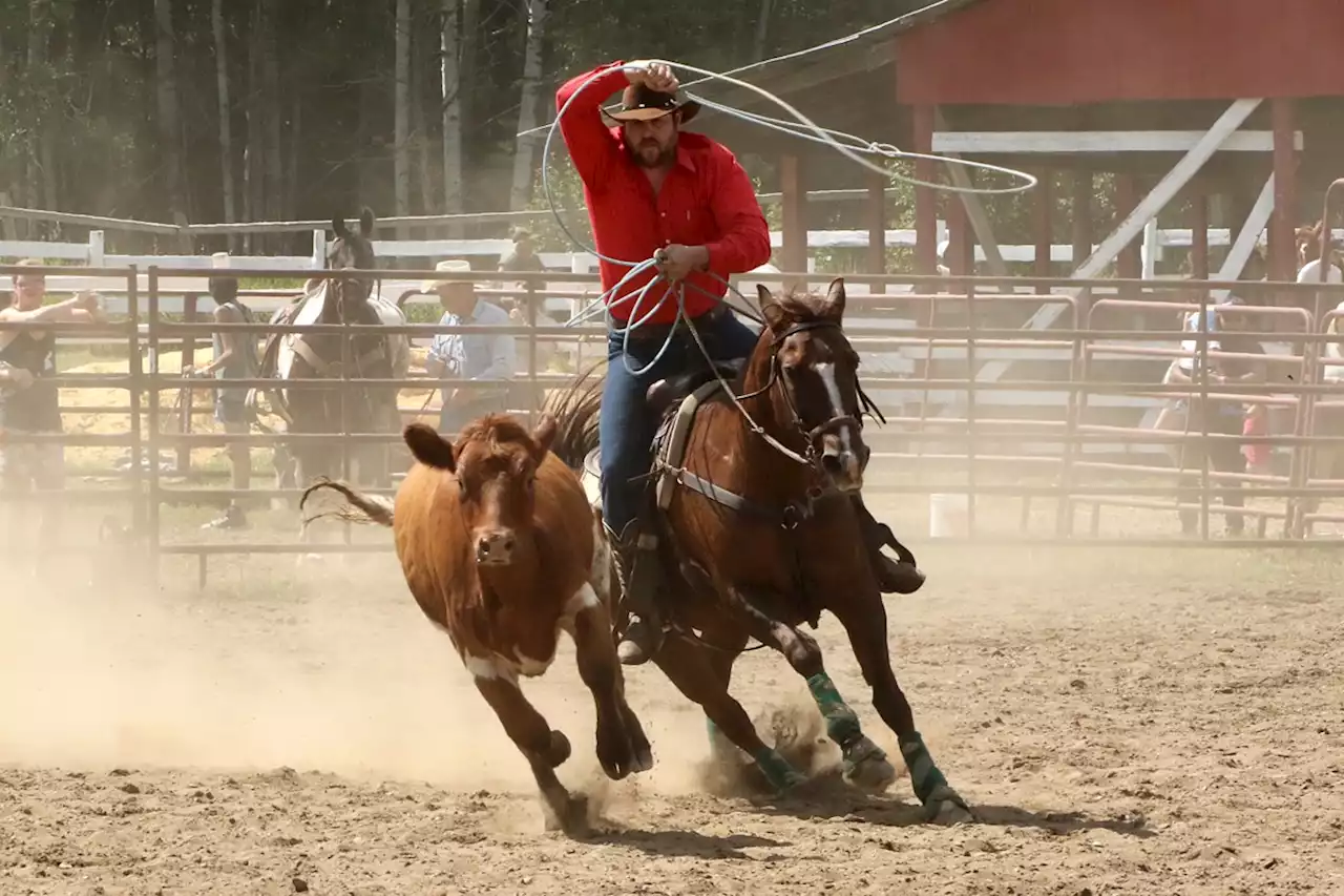 Murillo Fair a weekend hit