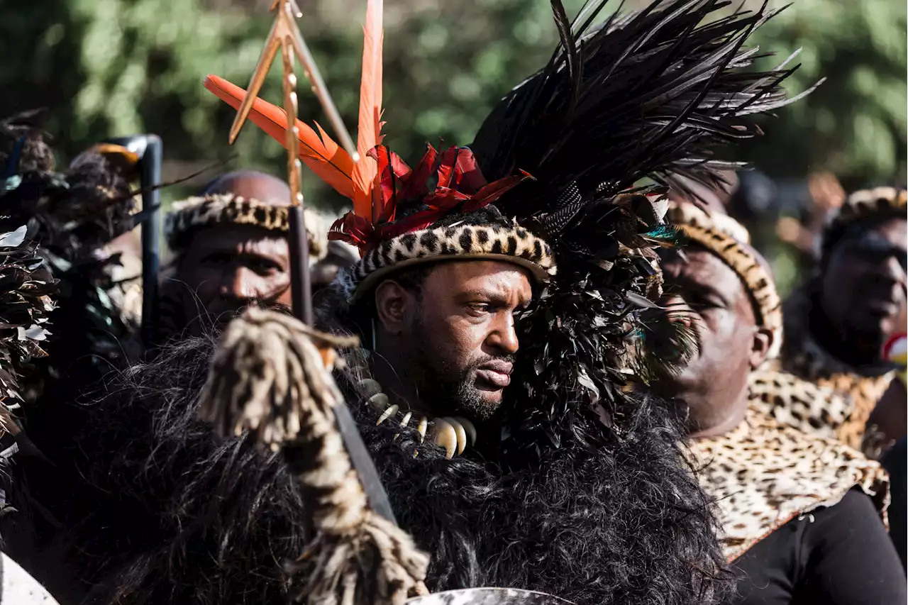 King Misuzulu allegedly needed help from professional hunter to kill lion, angers animal rights group | The Citizen