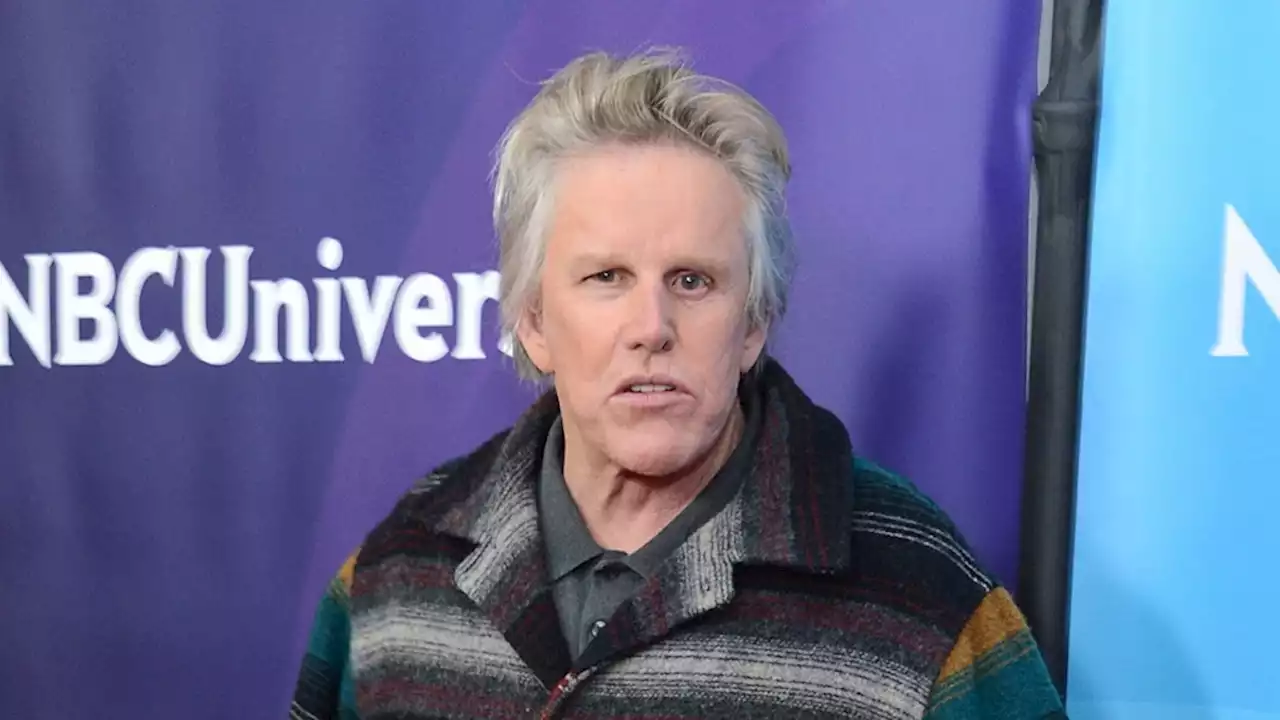 Horror Film Convention Promoter Responds After Gary Busey Sex-Crime Charges