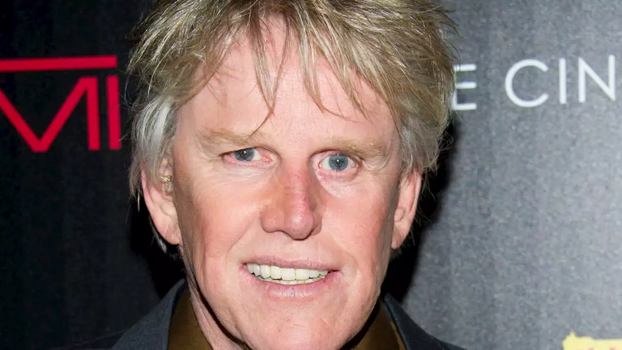 Actor Gary Busey charged with sexual offenses at horror film convention