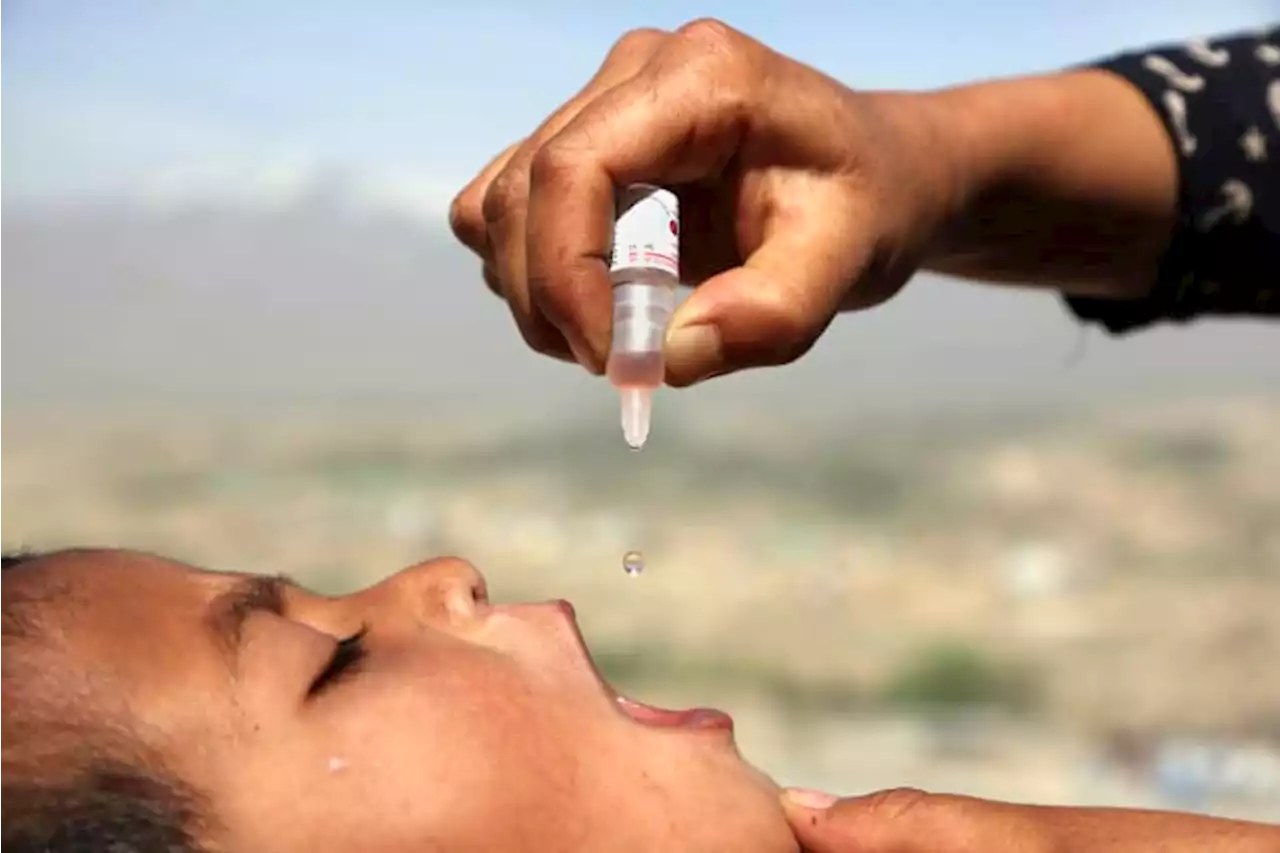 Polio in US, UK and Israel reveals rare risk of oral vaccine