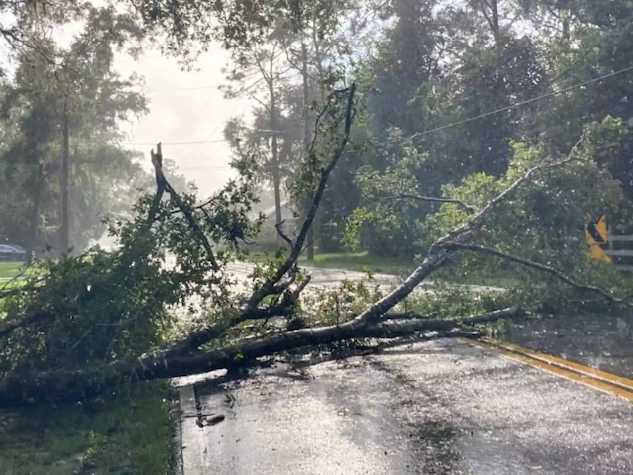 St. Johns County neighborhood left without lights from storm, tornado warning aftermath