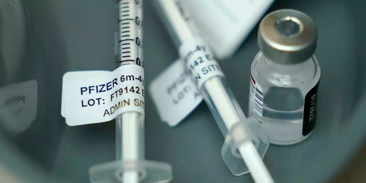 Pfizer, BioNTech Seek FDA Authorization for Updated Covid-19 Vaccine