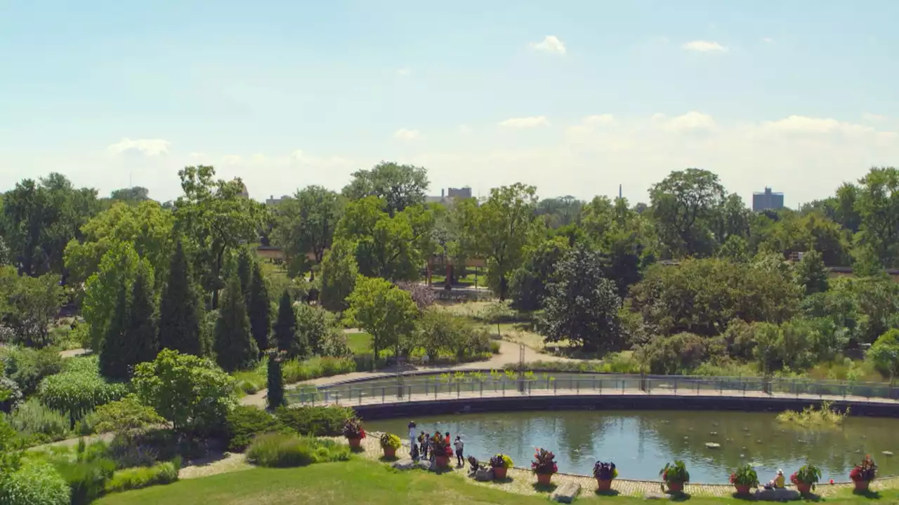 Purple Block Party Organizers See Upcoming Event as Showcase for Garfield Park