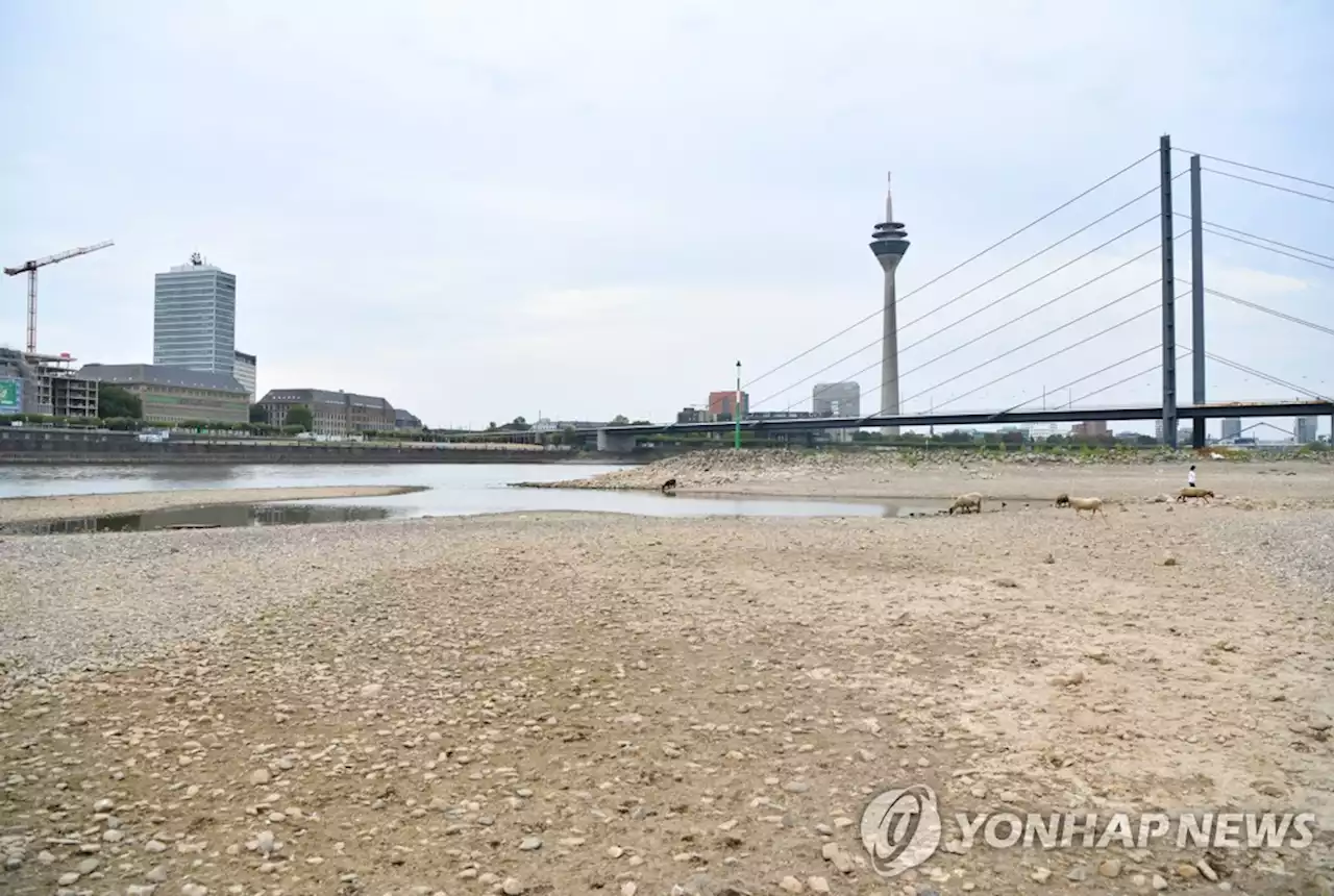 미·중·유럽 이례적 극심 가뭄…세계 3대 경제권 동시 타격 | 연합뉴스