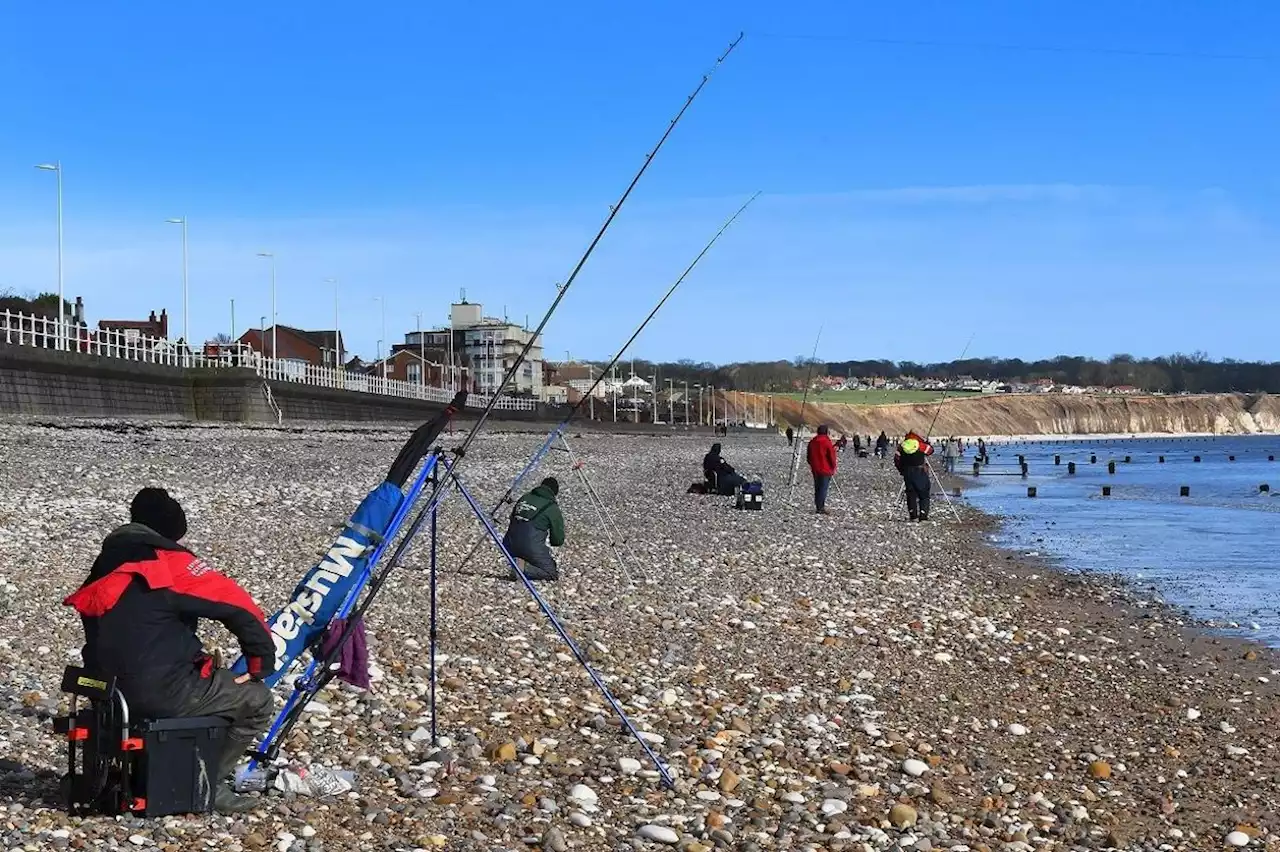 Best places in Yorkshire to go fishing with your family on a sunny day