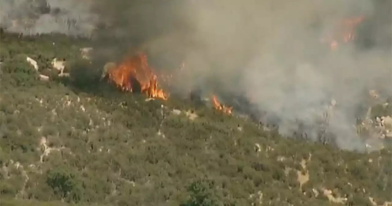 Firefighters battling brush fire in Pine Valley