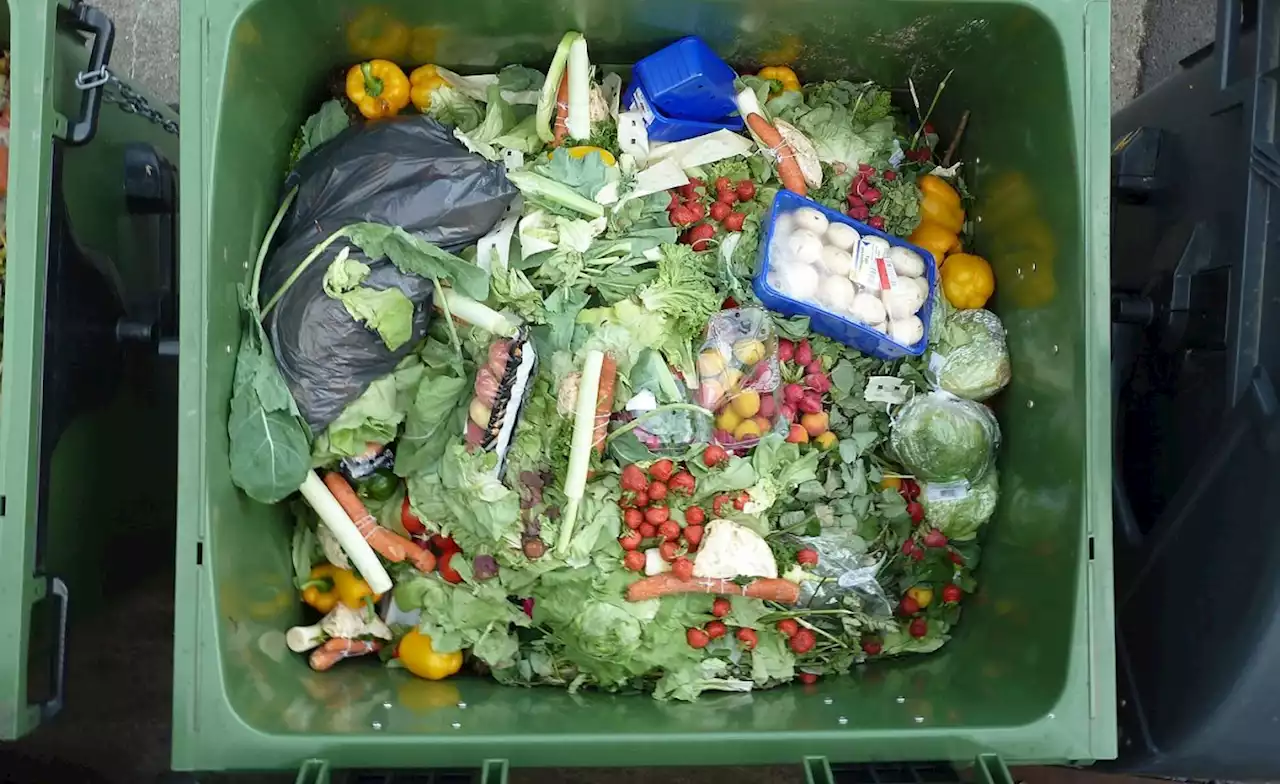 Africa: Millions Go Hungry - While Billions Worth of Food Go Into Landfills