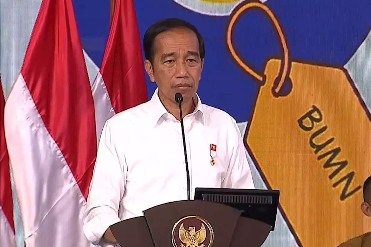 Presiden Jokowi minta anggota Kadin coba tanam sorgum di NTT