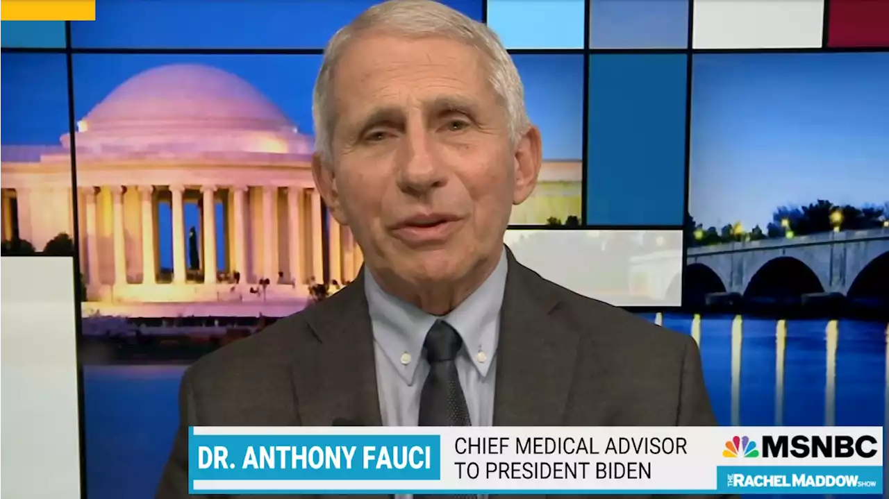 Fauci: 'Untruths have almost become normalized'