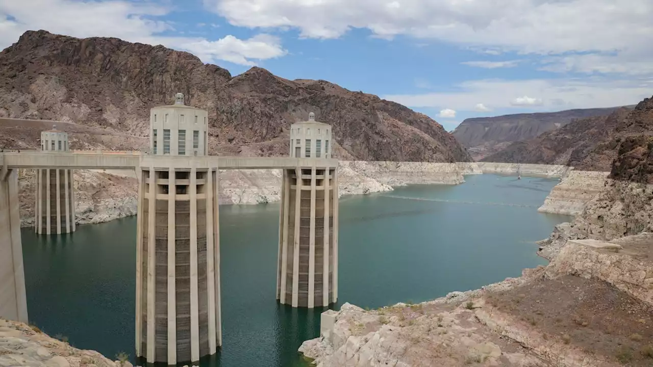 'There's simply not enough water': Colorado River cutbacks ripple across Arizona