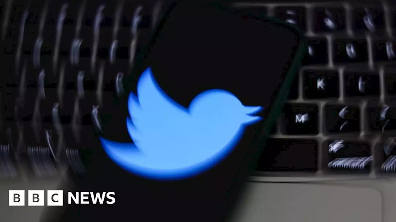 Twitter whistleblower questions firm's bot count