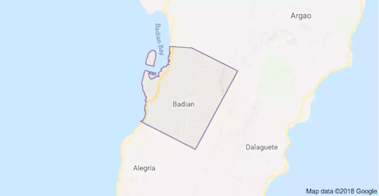 Active police officer nabbed for illegal drugs in Badian, Cebu