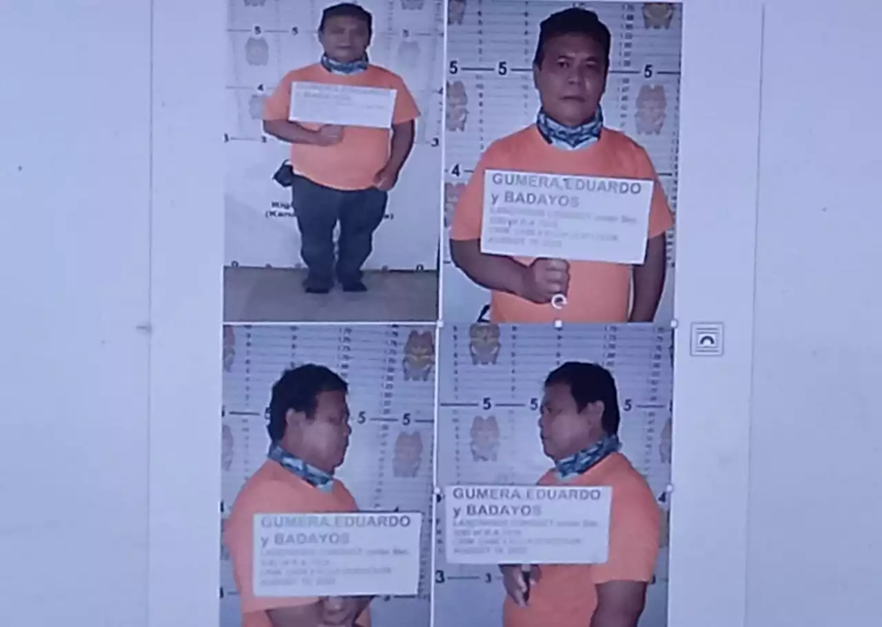 Barangay captain accused of molesting 15-year-old girl freed after posting bail