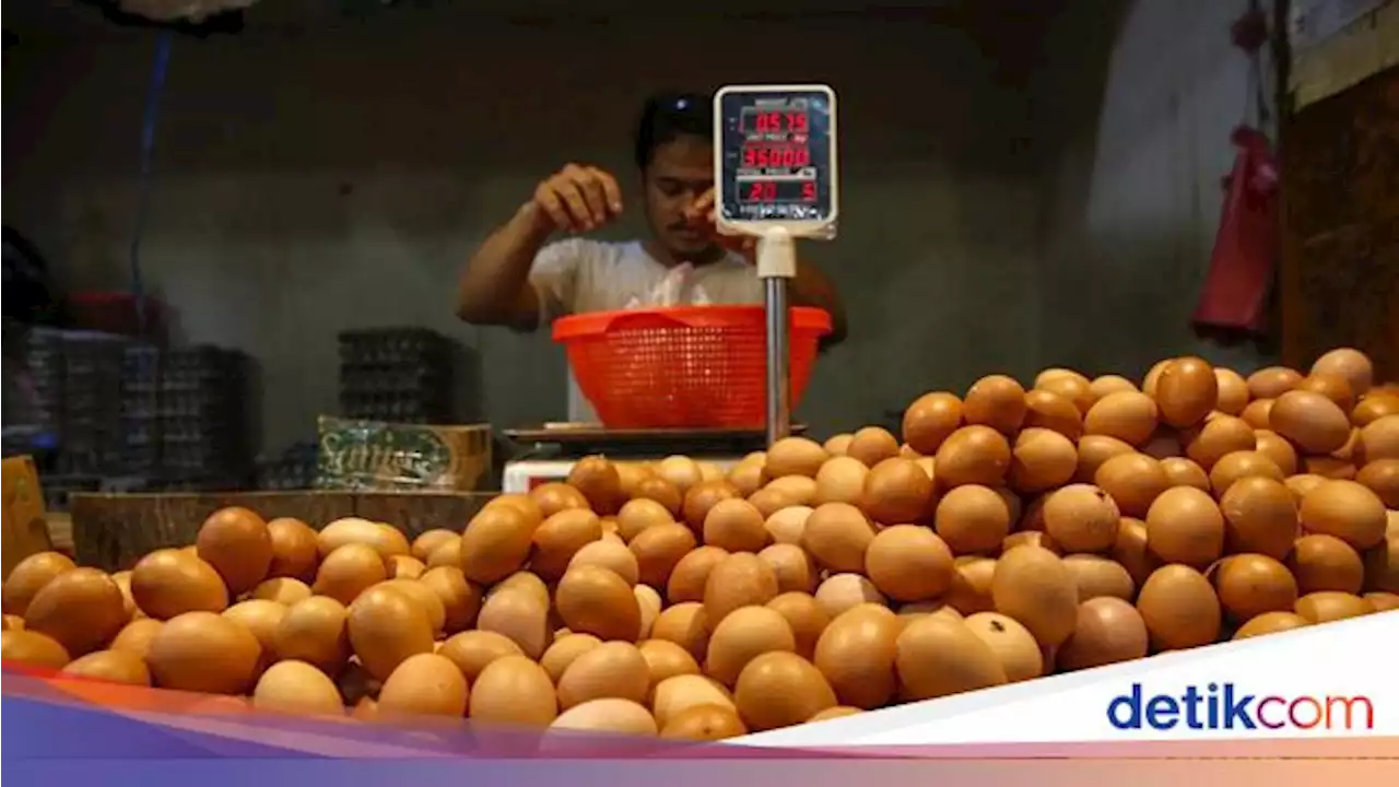 Sabar Ya Emak-emak, Harga Telur Naik Lagi dan Lagi