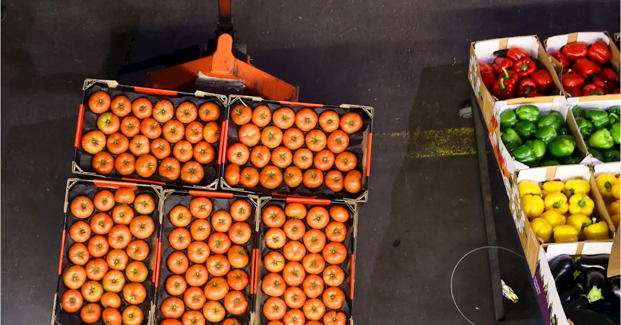 How 250 Million Pounds of Food Was Saved From Landfills to Feed People in Need