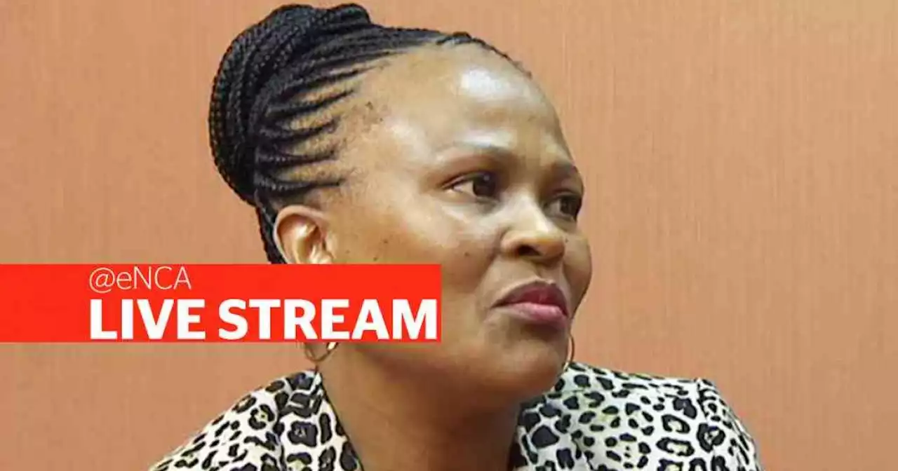 LIVESTREAM: Mkhwebane impeachment inquiry continues