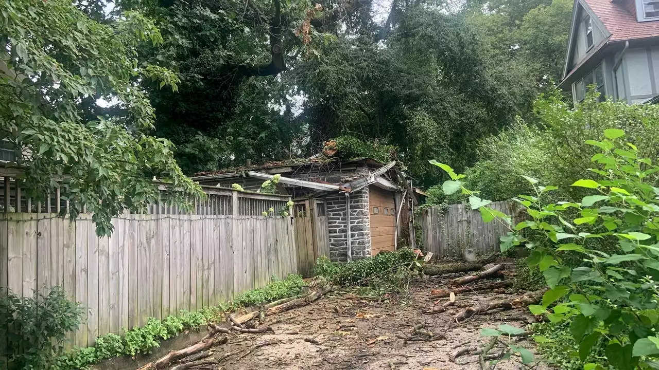 Woman critically injured by fallen branch in backyard of Philadelphia home, police say