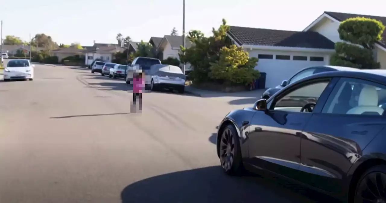 Tesla Fans Put Child in Path of Moving Tesla on Self-Driving Mode