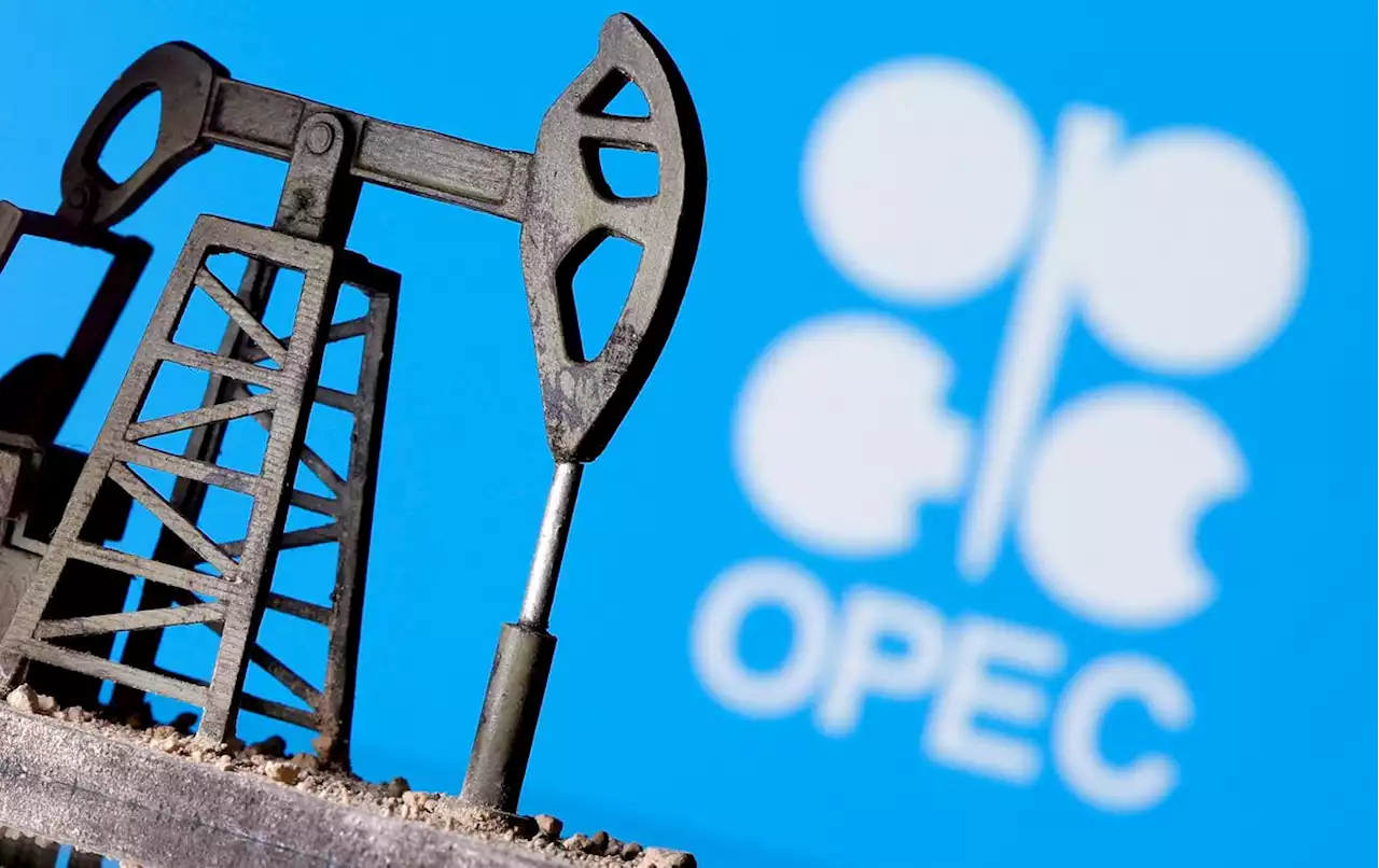 OPEC+ weighs oil production cuts with possible Iran deal looming, sources say