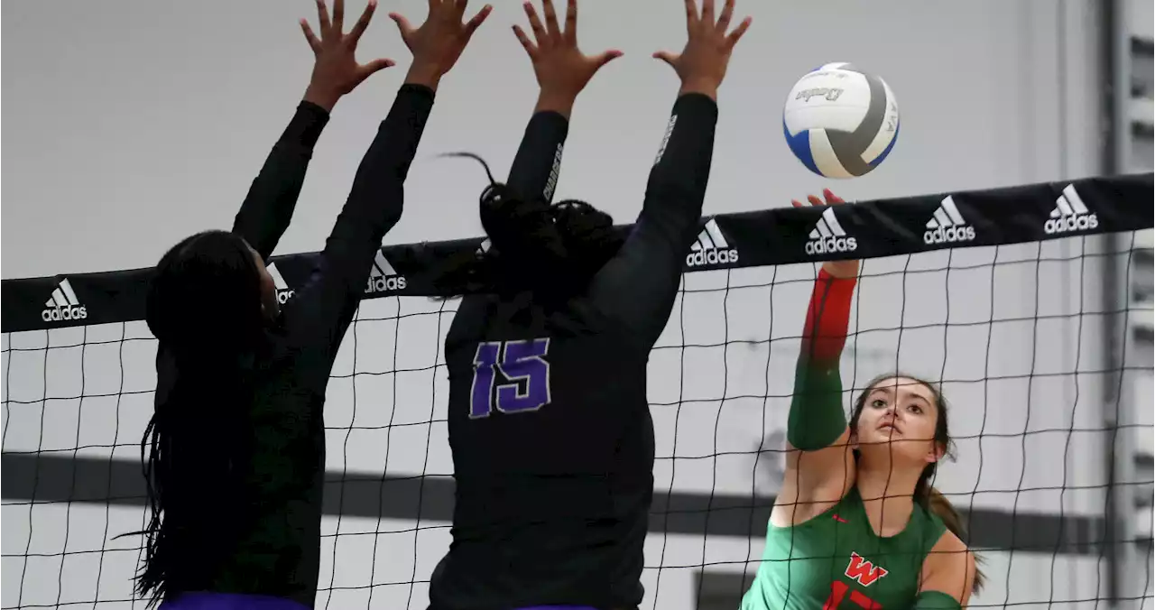 Greater Houston Volleyball Coaches Association announces preseason teams