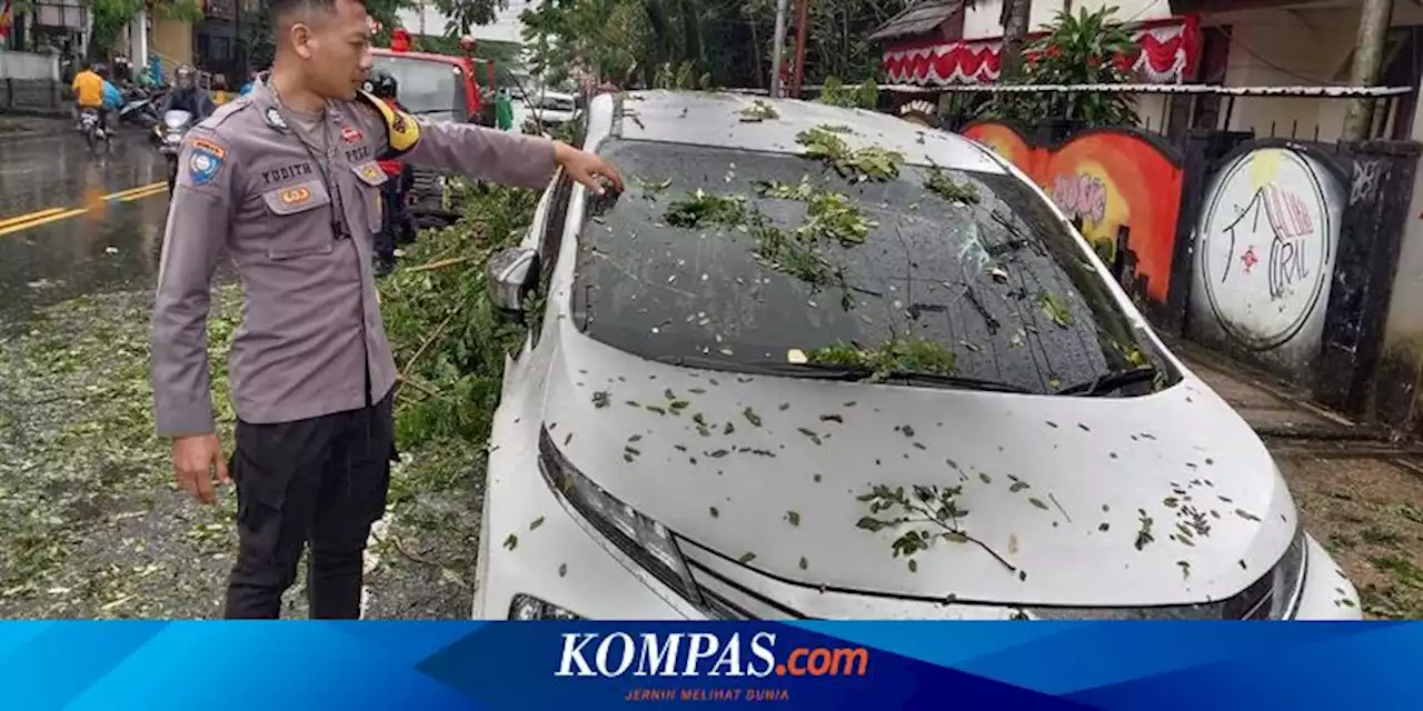 Pohon Tumbang di Ambon Timpa Mobil yang Sedang Parkir