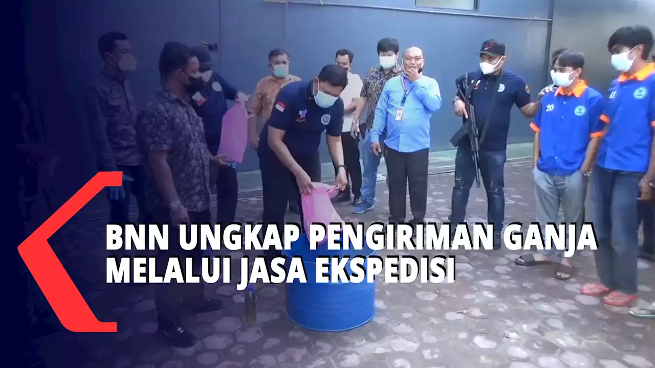 Empat Pemilik 924 Gram Ganja Diringkus BNN