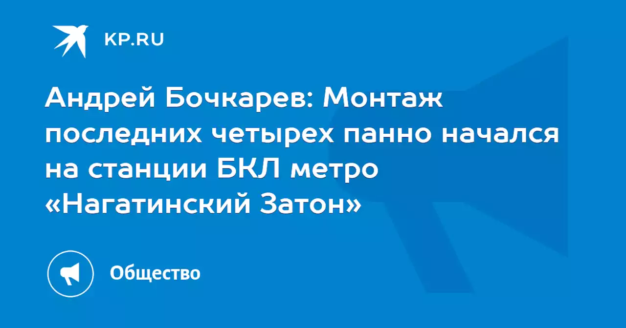 Андрей Бочкарев: Монтаж последних четырех панно начался на станции БКЛ метро «Нагатинский Затон»