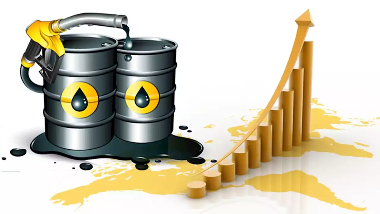 Harga Minyak Mentah Dunia Memantul dari Posisi Terendah