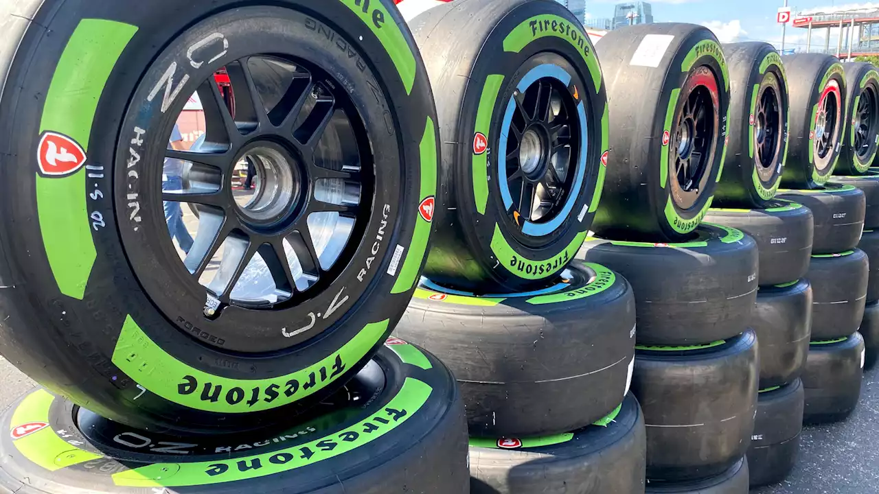 A Plant You've Never Heard of Might Change Racing Tires Forever