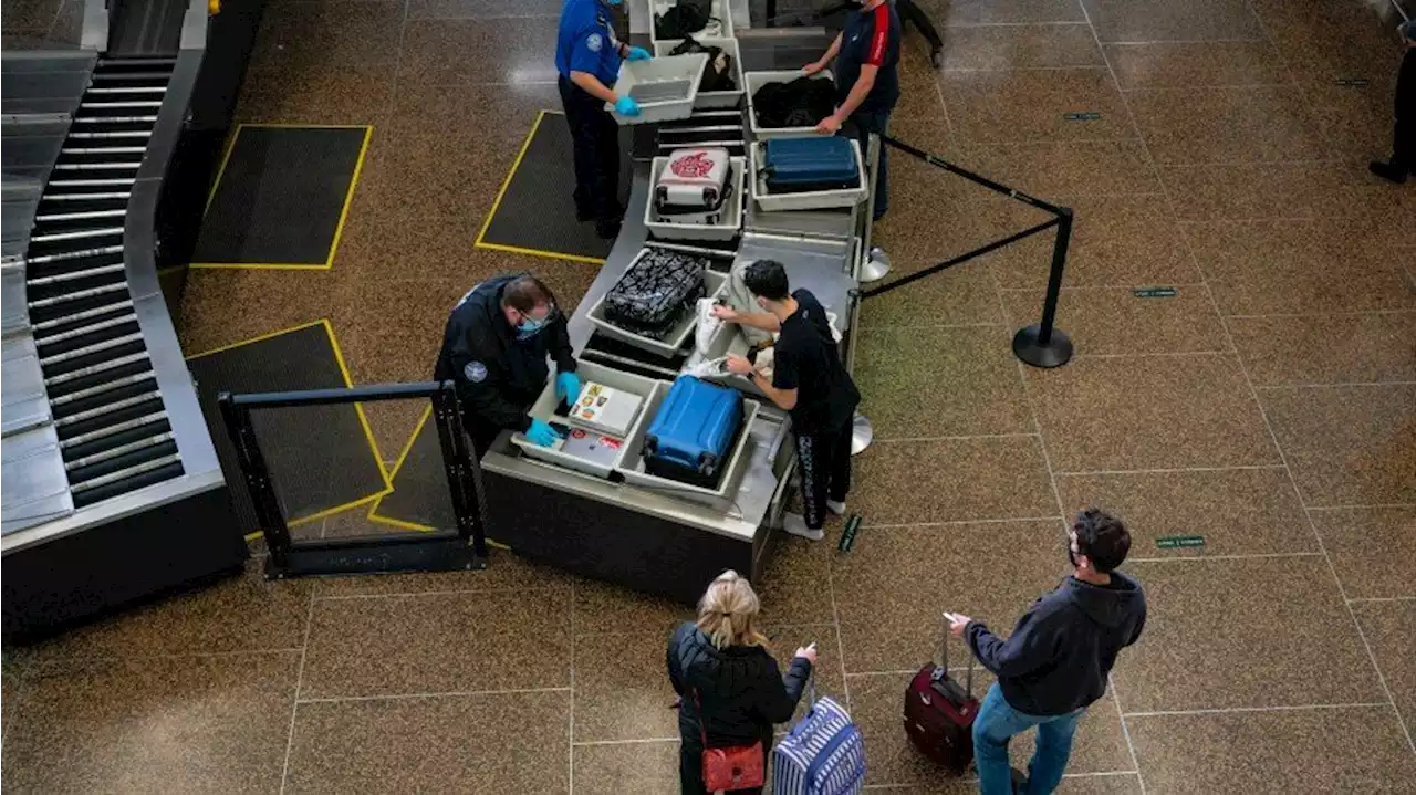 Sea-Tac security breach causes delays, grounds flights for nearly an hour