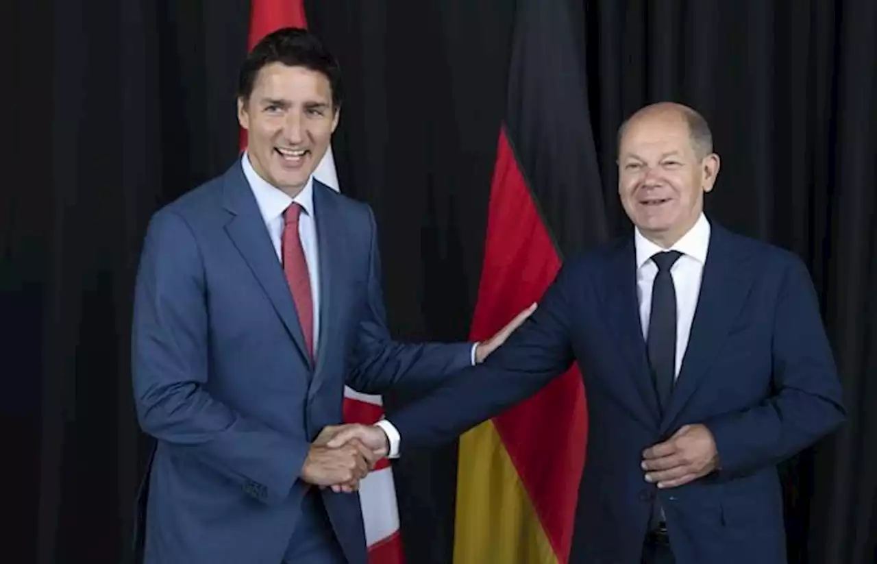 Ottawa to sign MOUs with Mercedes-Benz, Volkswagen on materials for electric vehicles | National Newswatch