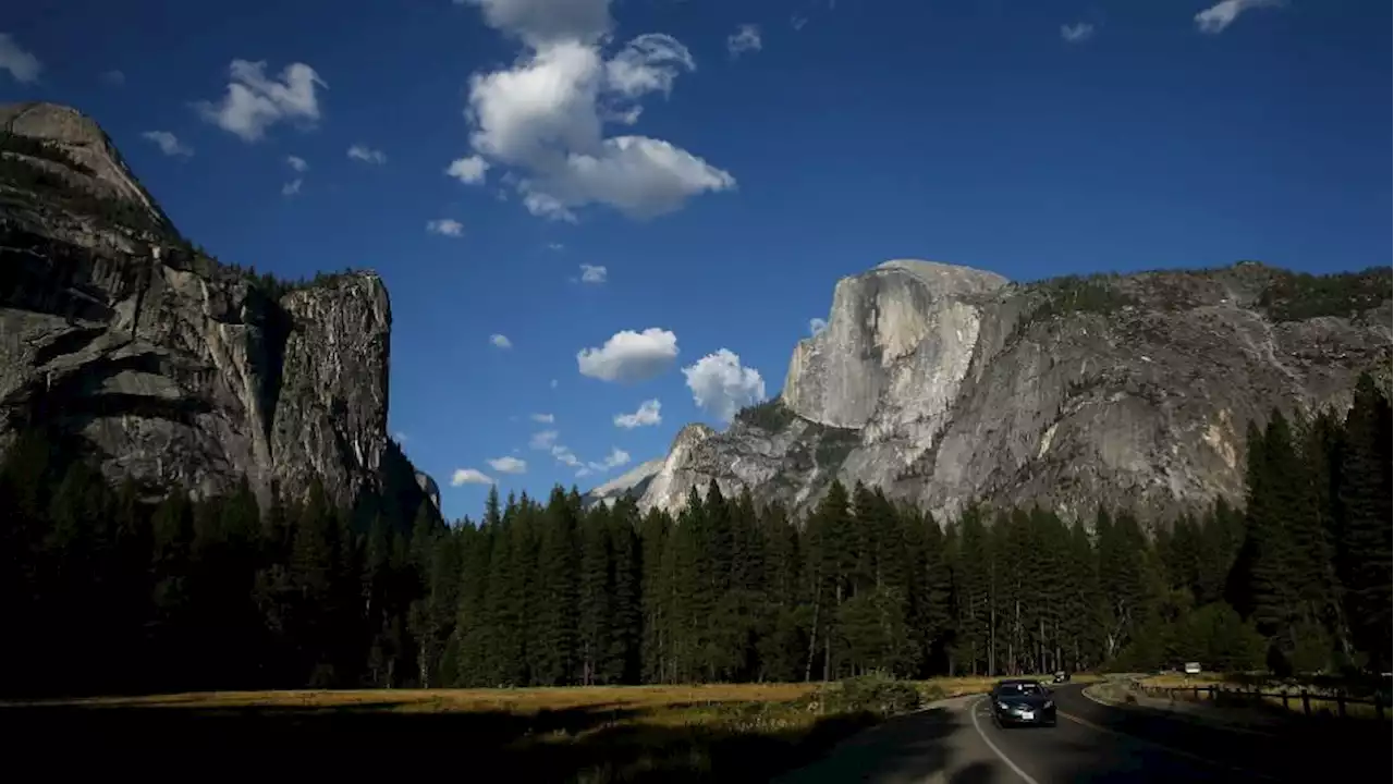 San Rafael Man Allegedly Threatens to Kill Wife at Yosemite National Park