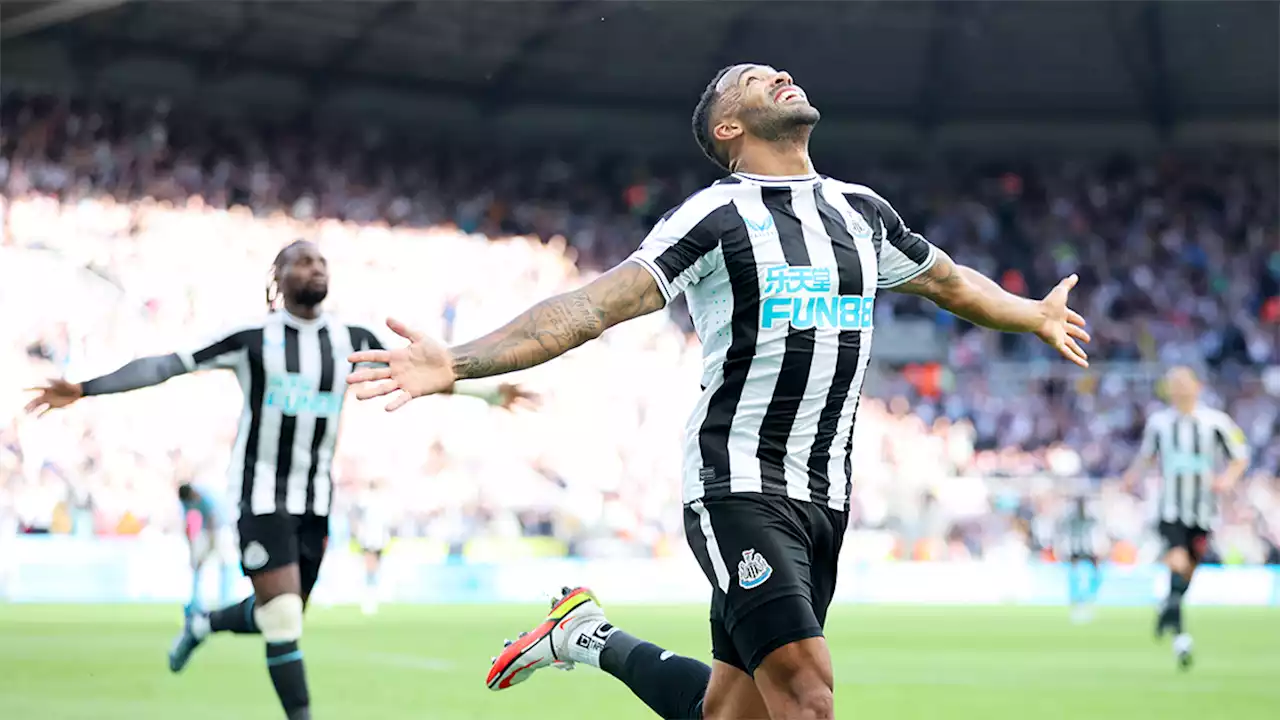 Newcastle United desperation to sign striker ramps up as Callum Wilson sent for scans