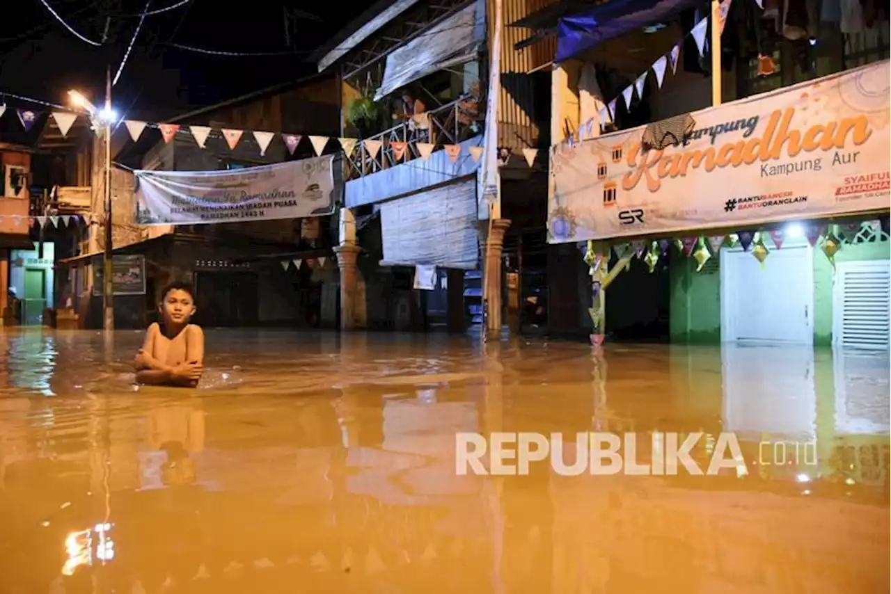 BNPB: Hutan di Sepanjang DAS Deli Kota Medan Tersisa 5,6 Persen |Republika Online