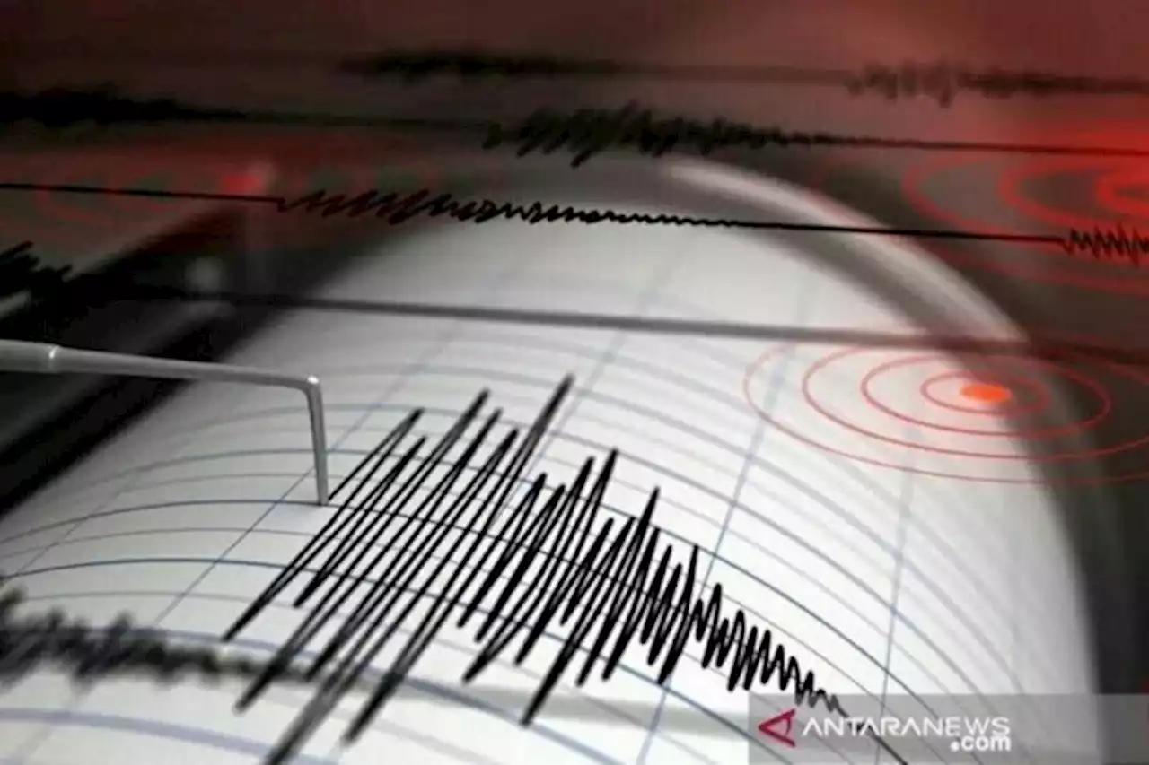 Bengkulu Digoyang Gempa Magnitudo 6,5