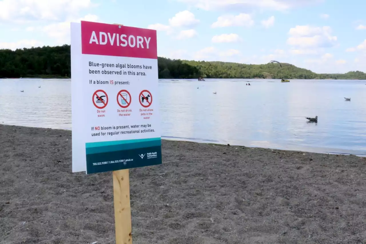 Sudbury health unit swimming advisory for Moonlight Beach