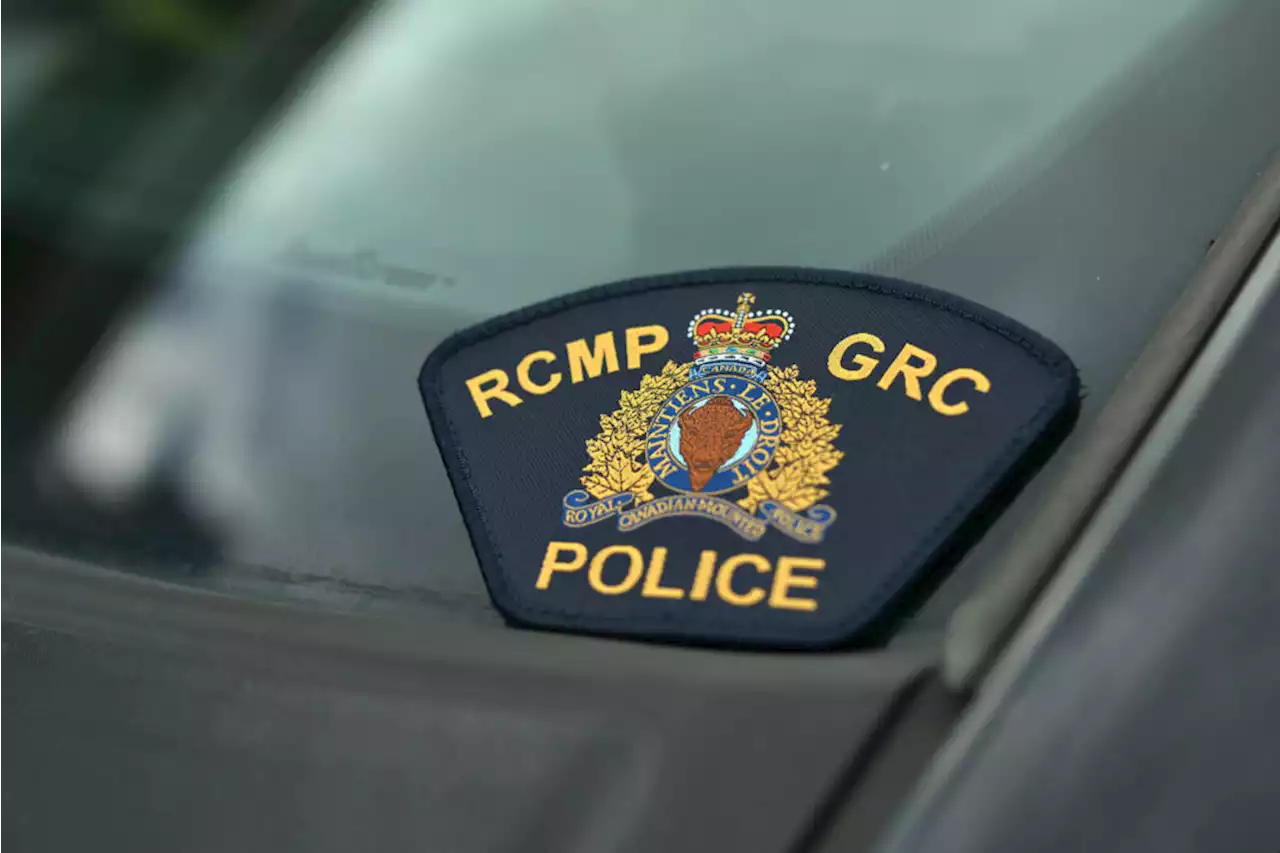 Indecent exposure, and mishandling of drug evidence top latest misconduct by B.C. RCMP officers - Terrace Standard