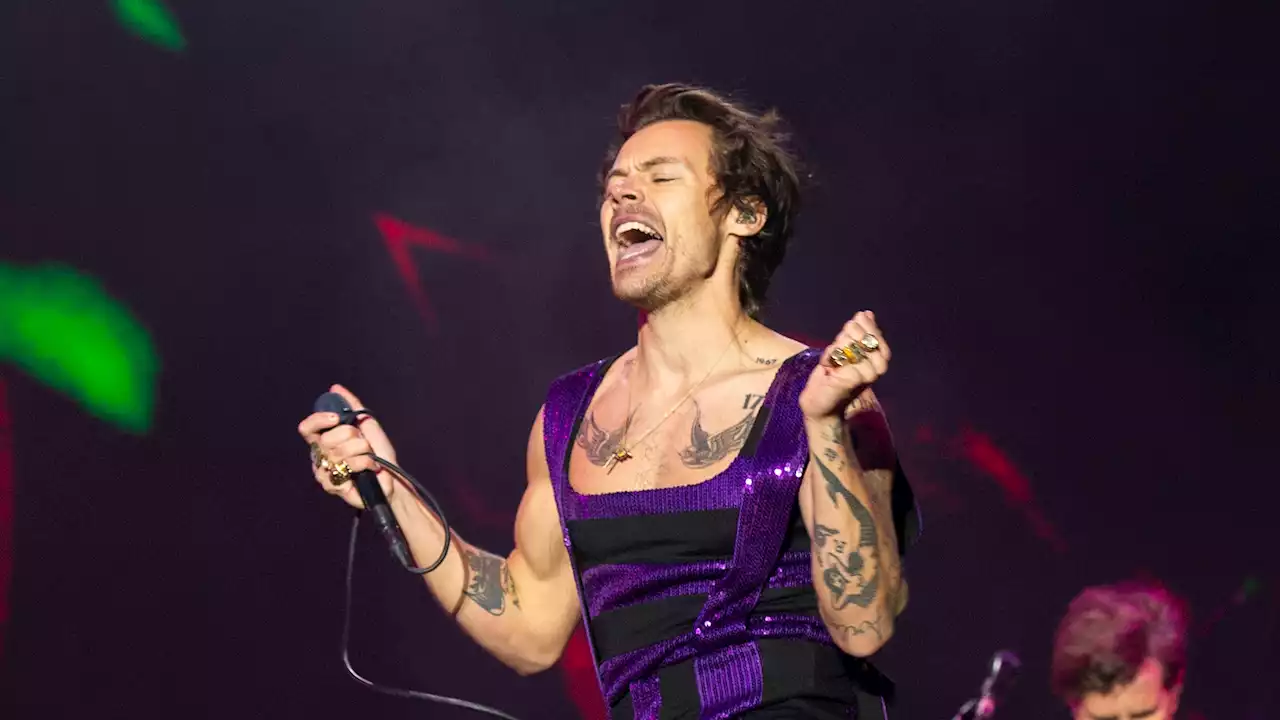 Watch Harry Styles Interrupt Concert to Call Fan's Ex-Boyfriend