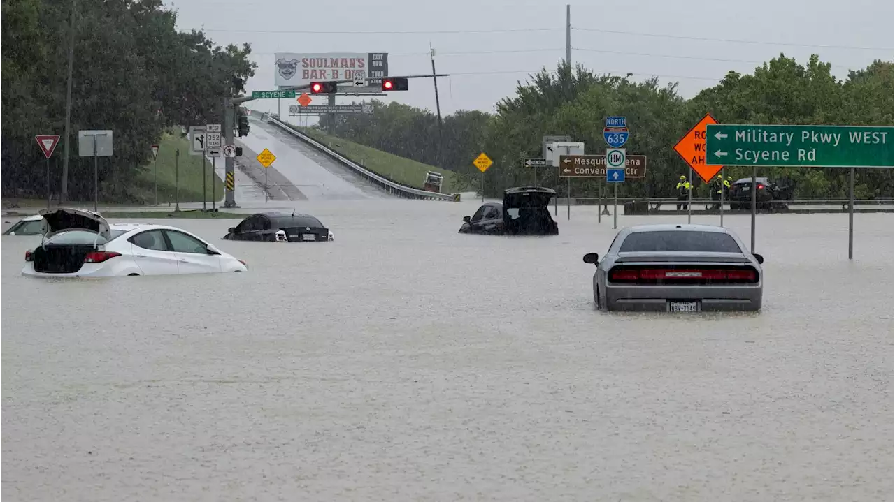 Heavy rain, flooding in Texas; Trump seeks special master to review Mar-a-Lago documents | Hot off the Wire podcast