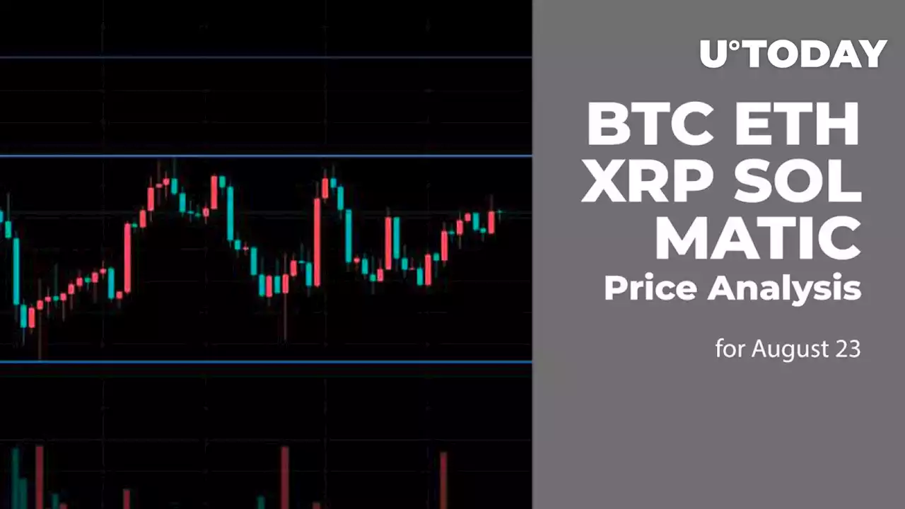 BTC, ETH, XRP, SOL and MATIC Price Analysis for August 23