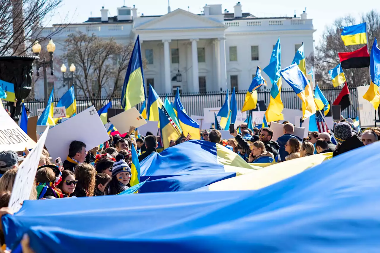 How to Celebrate and Show Support on Ukrainian Independence Day While In DC - Washingtonian