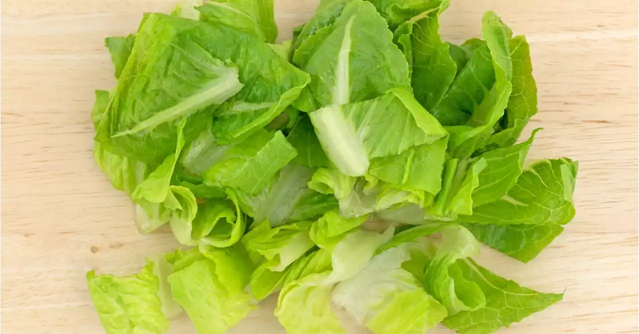 Wendy’s Pulls Lettuce From Sandwiches in 3 States in E. Coli Probe