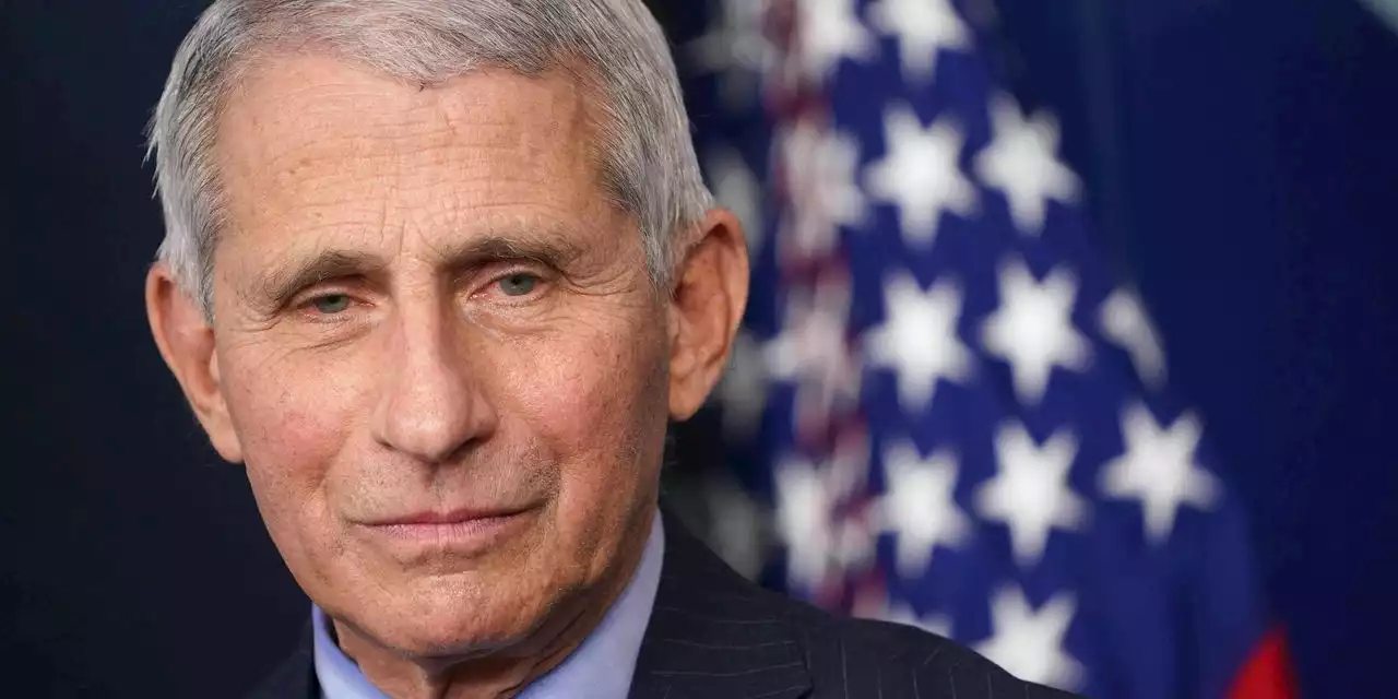 Opinion | Dr. Fauci and the Rule of Experts