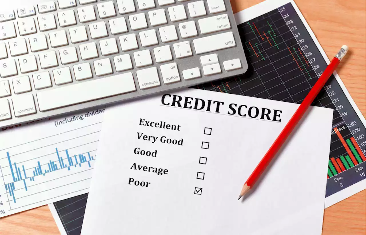 How to check your credit score