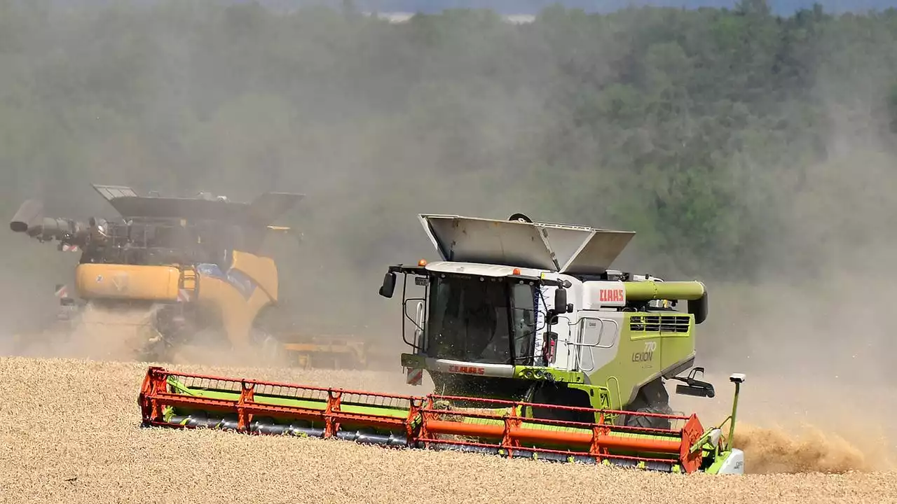 Hitze macht Bauern trotz größerer Ernte Sorge