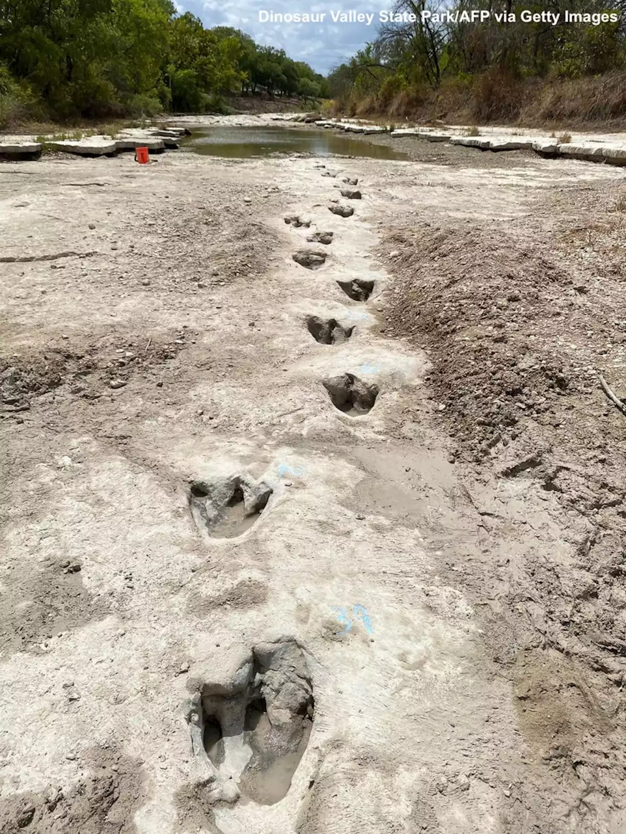 Dinosaur tracks from 113M years ago have become visible amid drought